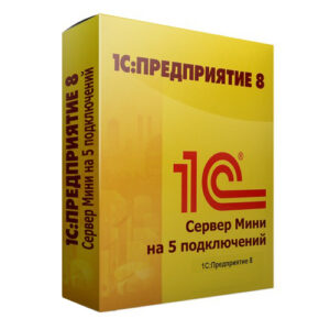 1С: Предприятие 8.3. Сервер МИНИ на 5 подключений. Электронная поставка