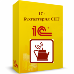 1С:Бухгалтерия СНТ. Базовая версия. Электронная поставка