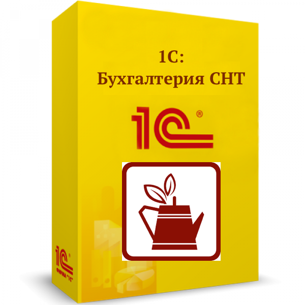 1С:Бухгалтерия СНТ. Базовая версия. Электронная поставка