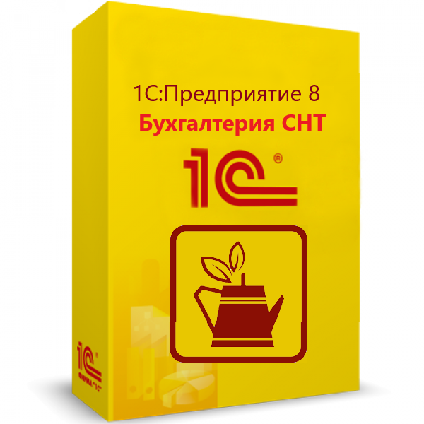 1С:Предприятие 8. Бухгалтерия СНТ. Электронная поставка