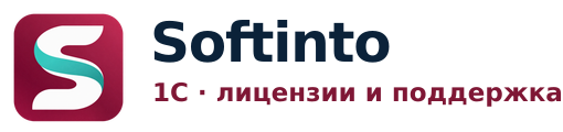 softinto.ru